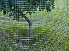 welded wire mesh for guard